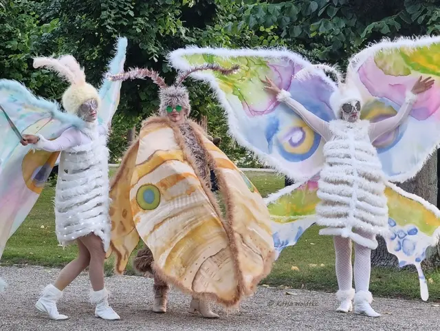 Kleines Fest im Großen Garten 2026 (Foto: Katja Woidtke)

Magische Momente zur Premiere - Traumtanztheater | Foto: Katja Woidtke