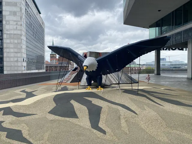 Adler Spielplatz