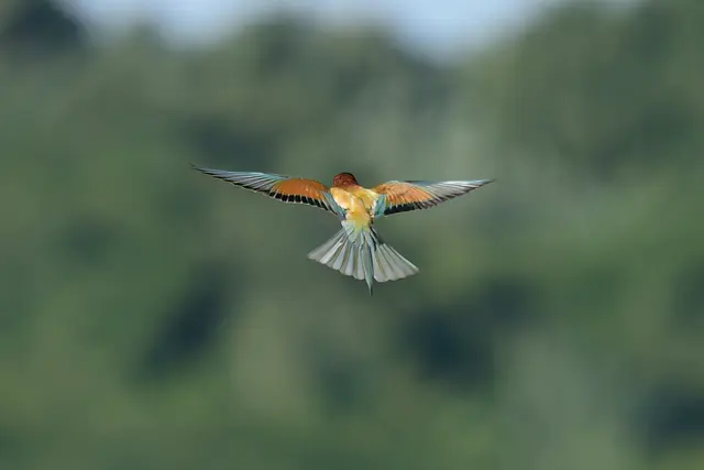 Foto: Copyright Andreas Schäfer