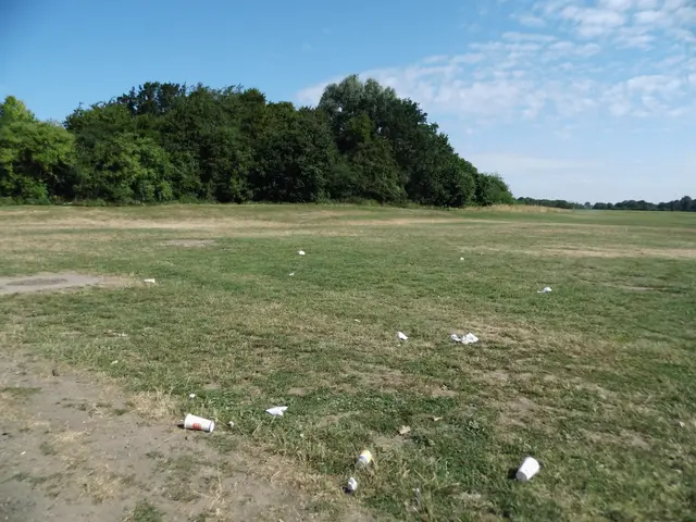 Fastfood 🥡 Verpackungen (Automüll) auf der Wiese hinter dem Parkplatz an der Karl-Jatho-Straße, Rheinpromenade Wesel.
Sachstand: 04.07.2026, 10:19 Uhr | Foto: Siegmund Walter, 04.07.2026, 10:19 Uhr