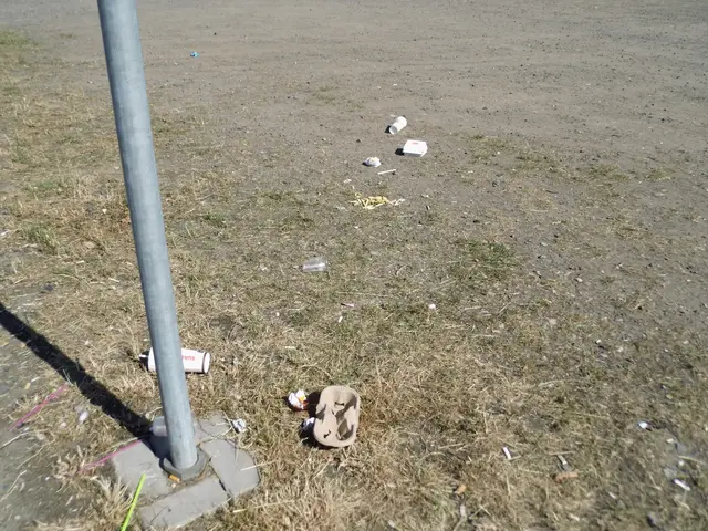 Fastfood-Abfall direkt neben dem Parkplatz an der Karl-Jatho-Str. Rheinpromenade Wesel | Foto: Siegmund Walter, 04.07.2026, 10:17 Uhr