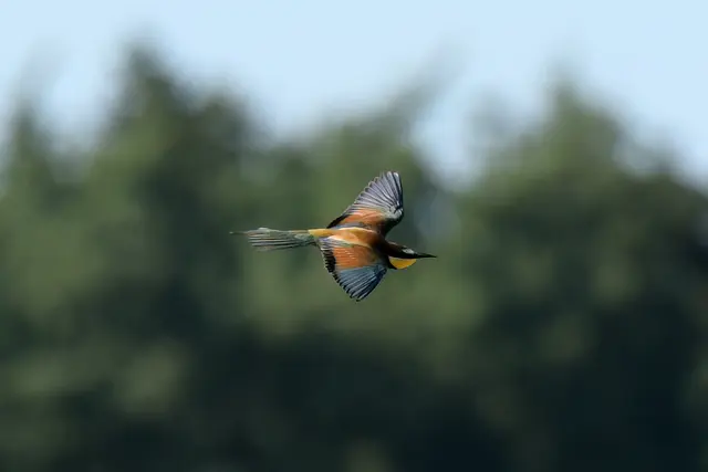 Foto: Copyright Andreas Schäfer