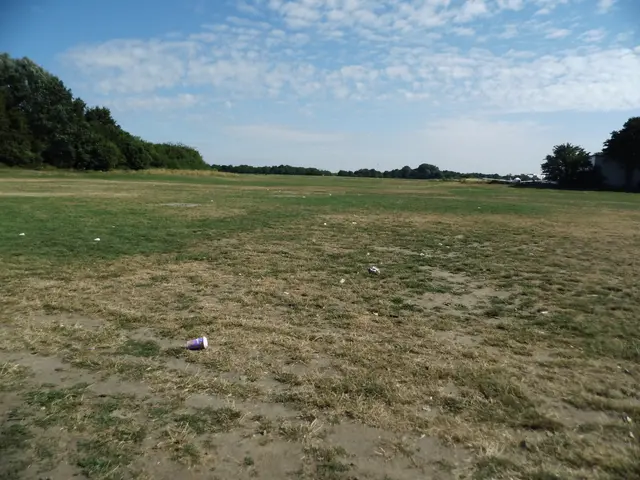 Fastfood 🥡 Verpackungen (Automüll) auf der Wiese hinter dem Parkplatz an der Karl-Jatho-Straße, Rheinpromenade Wesel.
Sachstand: 04.07.2026, 10:18 Uhr | Foto: Siegmund Walter, 04.07.2026, 10:18 Uhr