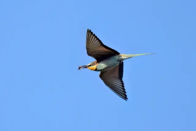 Foto: Copyright Andreas Schäfer