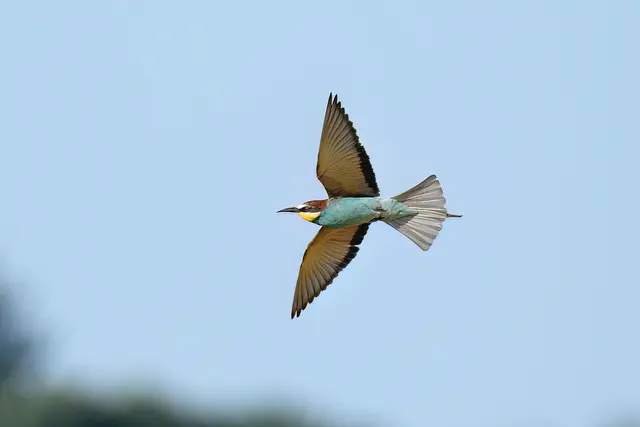 Foto: Copyright Andreas Schäfer