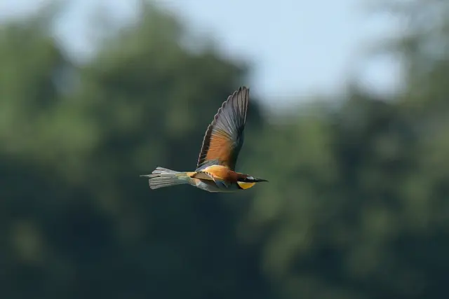 Foto: Copyright Andreas Schäfer