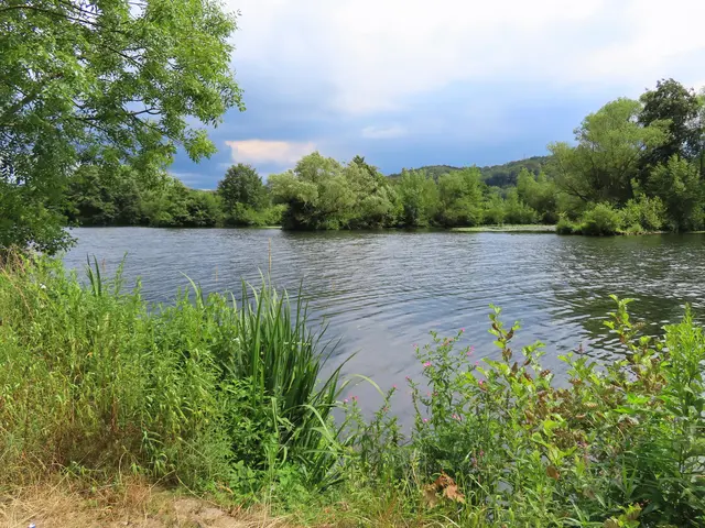 Die Ruhr im Bochumer Süden