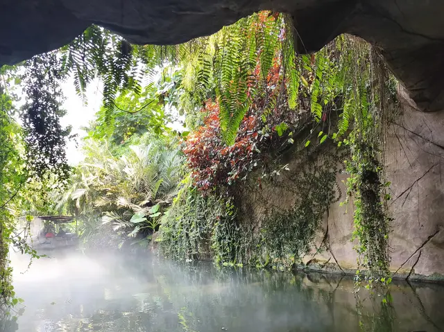 Einfahrt ins Gondwanaland am frühen Morgen mit Nebel über den Fluß