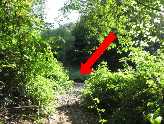 Querung der Gleisanlage auf Freier Strecke | Foto: GvMeegen