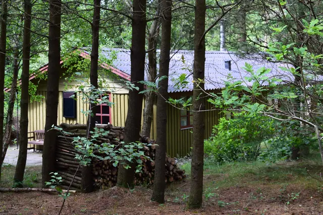 Bild 1: Das Haus im Wald