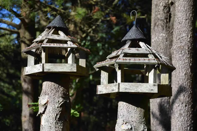 Bild 2: die Vogelhäuschen - in die Jahre gekommen, dennoch schön