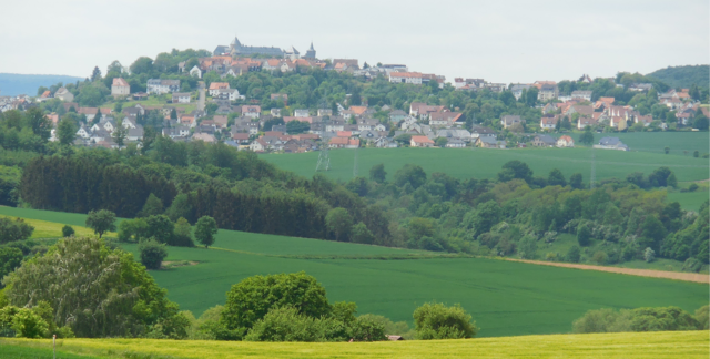 Ausschnitt aus dem Original-Foto vom 31.05.2015 | Foto: M. A.