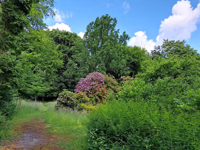 Foto: Sabine Schlücking
Historischer Landschaftsgarten Gut Rödinghausen