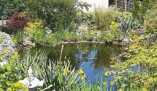 Foto: Annette Merkel
Wohlfühlgarten zum Entdecken