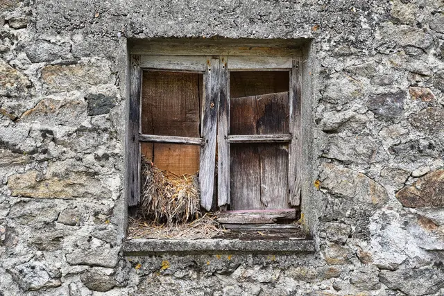 Foto Pixabay