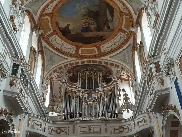 Orgel | Foto: Iris Alefelder