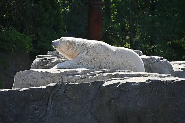 Als die Sonne vom Himmel herunterstrahle, wurde erst einma Siesta gemacht