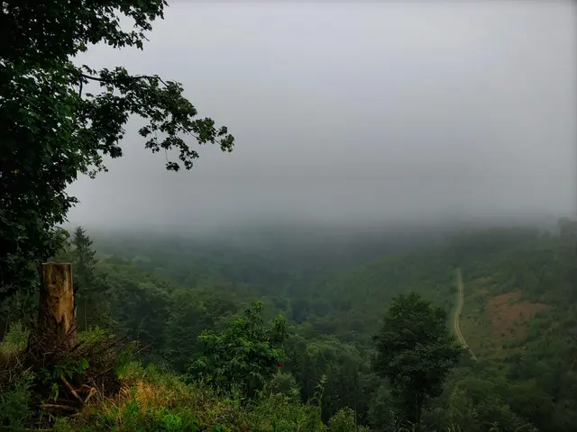Wälder, Hügel und Seen