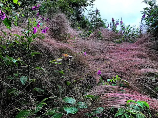 Natur pur