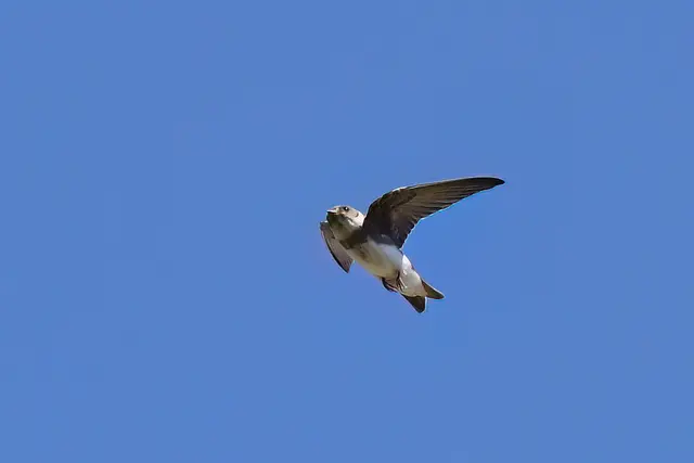 Foto: Copyright Andreas Schäfer