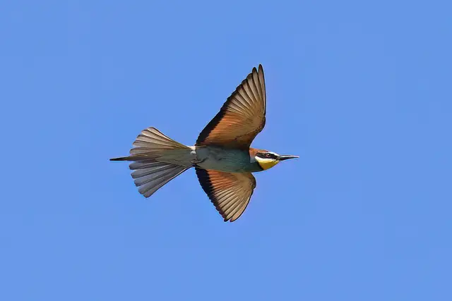 Foto: Copyright Andreas Schäfer