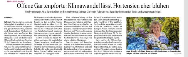 ♥♥♥
ZEITUNGsARTIKEL