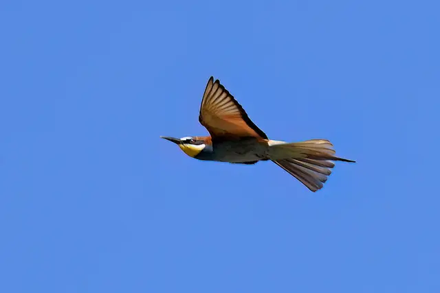 Foto: Copyright Andreas Schäfer