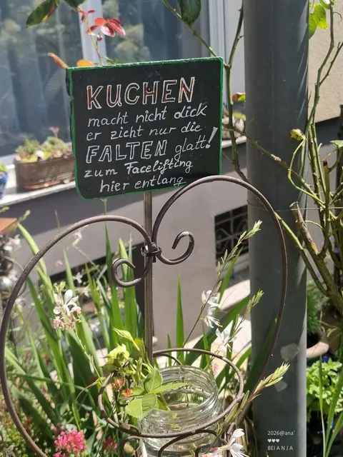 KUCHEN ....