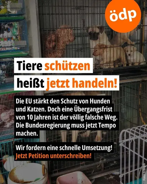 www.oedp.de/aktuelles/aktionen/newsdetails/news/petition-tierleid-endlich-wirksam-bekaempfen
