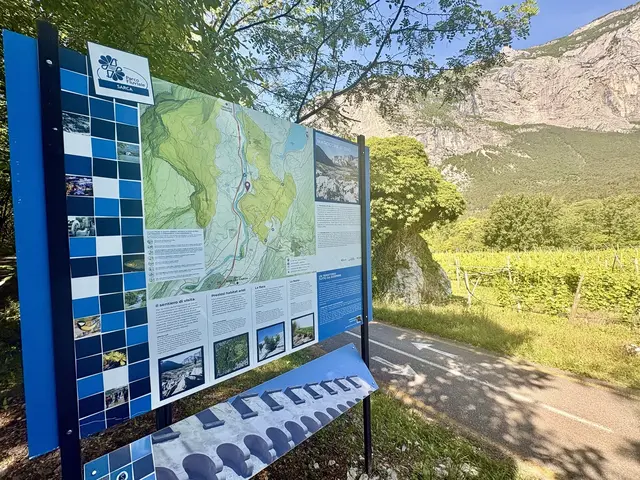 Am schattigen Wegrand des Sarcatals, südlich des Val dei Laghi, gibt die blaue Infotafel dem aufmerksamen Reisenden geduldig Auskunft über die hochspezialisierte Flora und Fauna der nacheiszeitlichen Marocche-Felsstürze und offenbart eine überraschend lebendige Welt von kleinen Überlebenskünstlern, die sich diesem extrem trockenen Mikroklima mit beharrlicher Kraft angepasst haben.
 | Foto: Daniel J. Basler