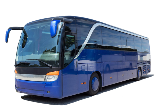 Foto: Pixabay, freedommail-coach