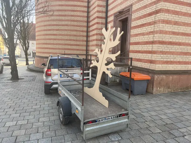 Zum Heiligen Jahr 2025 ließ P. Brühl einen „Baum der Hoffnung“ in der Stadtpfarrkirche aufstellen, der - sich immer wandelnd - die Gemeinde das Jahr über begleitete.  | Foto: P. Steffen Brühl