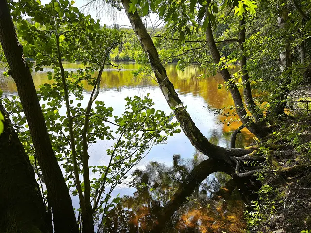 Naturschutzgebiet am Hevesee | Foto: Shima Mahi