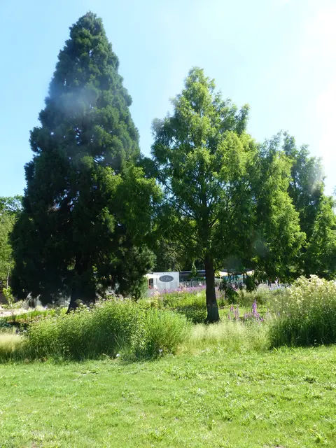 Foto: N. Käse