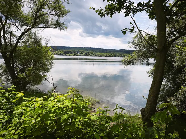 Spaziergang durch den Möhnepark bei Körbecke | Foto: Shima Mahi