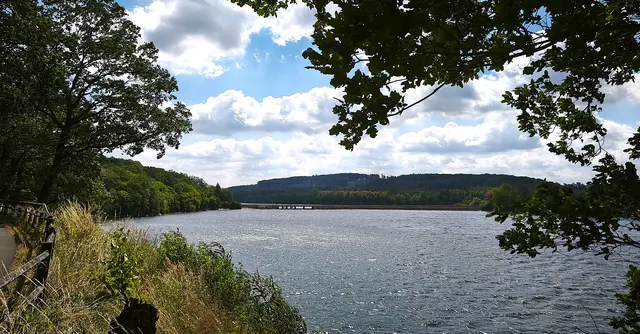 Naturpromenade am Hevesee | Foto: Shima Mahi