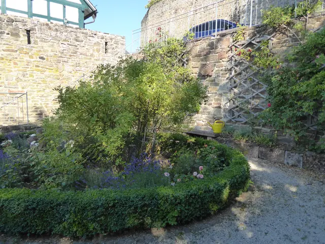 Rosengarten 2026-29a, 15.07.2026.