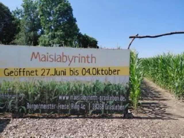 Willkommen im Maislabyrinth Grasleben. Die spannende Suche nach den fünf Stempeln kann beginnen...