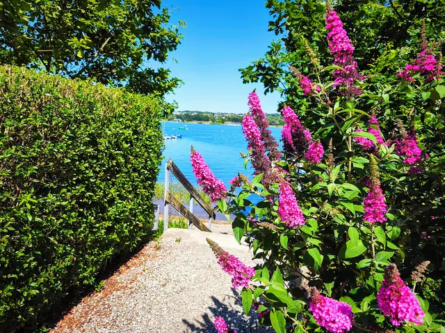 Blick auf den Möhnesee | Foto: Shima Mahi