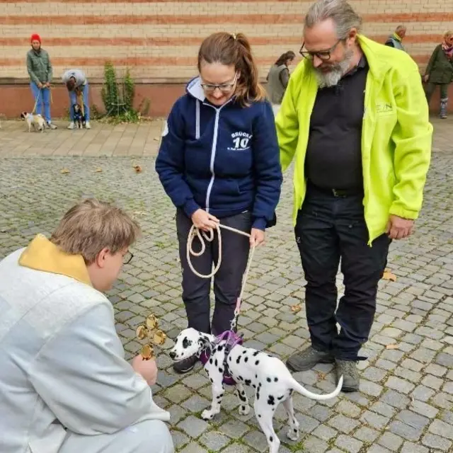 Haustiere sind wichtige Begleiter der Menschen. Daher ist es verständlich, dass der Wunsch da ist, auch die tierischen Freunde sollen unter den Segen Gottes gestellt werden. In St. Jakob gibt es dazu die Möglichkeit der Tiersegnung. | Foto: Pfarrei St. Jakobus maj.