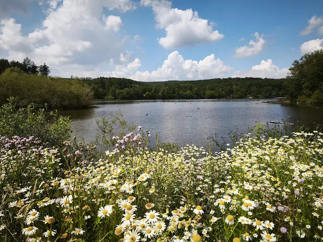 Ein weiterer schöner Blick auf den See | Foto: Shims Mahi