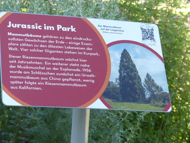 Foto: N. Käse