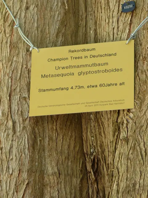 Foto: N. Käse