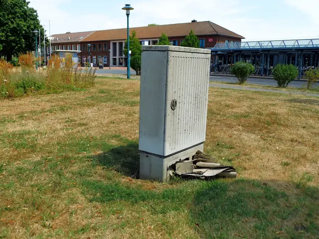 Standverteiler Wiese Vorplatz Weseler Bahnhof. Erdsockel des Verteilers stark zerstört. Pappkartonreste vor, teilweise in Erdsockel steckend.
 | Foto: Siegmund Walter, 16.07.2026, 13:37 Uhr