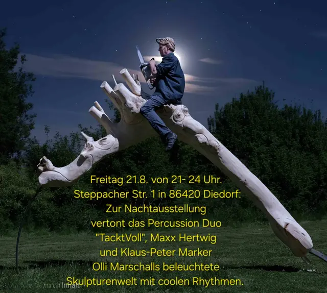 Nachtausstellung magische Skulpturenwelt | Foto: acktVoll