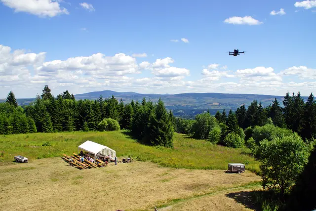 Blick vom Aussichtsturm auf die Festwiese, im Hintergrund die Harzberge 