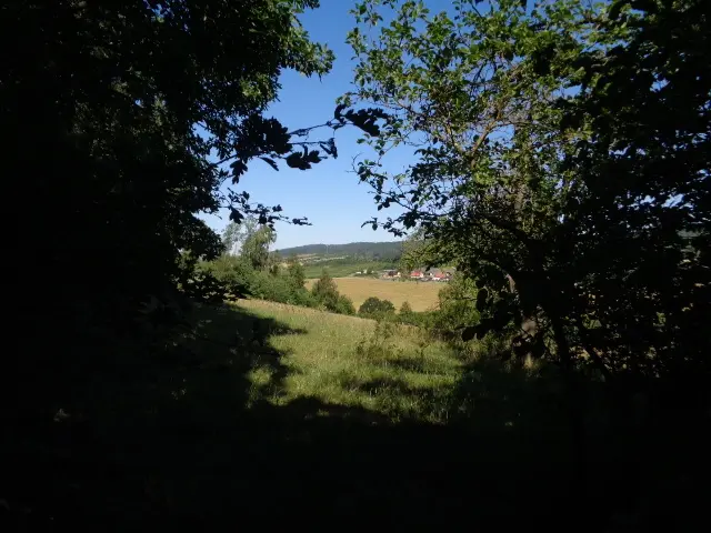 Blick auf Agnesdorf