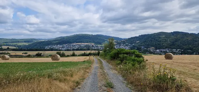 Blick vom Waldrand auf Hatzfeld
