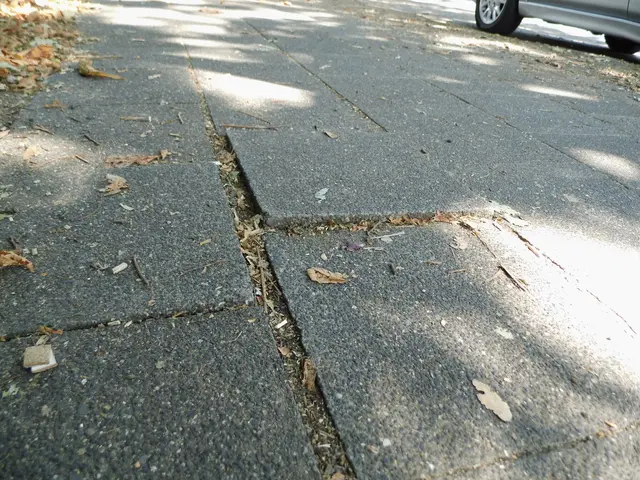 Gehweg an der Isselstraße in Wesel | Foto: Siegmund Walter, 17.07.2026, 12:50 Uhr