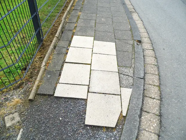 Gehweg in Wesel | Foto: Siegmund Walter, 09.06.2026, 15:26 Uhr